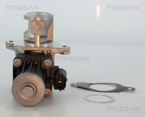 EGR Valve