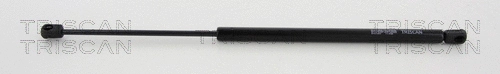 Gas Spring, boot/cargo area (8710 44203)