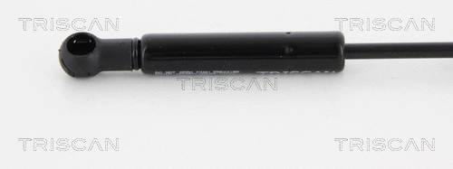 Gas Spring, boot/cargo area