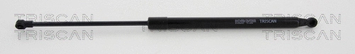 Gas Spring, boot/cargo area (8710 292022)