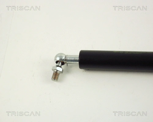 Gas Spring, boot/cargo area