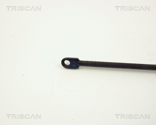 Gas Spring, boot/cargo area