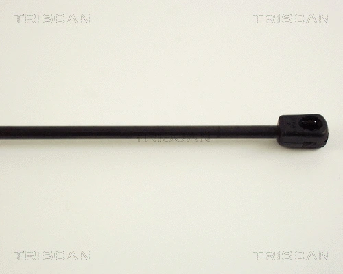 Gas Spring, boot/cargo area
