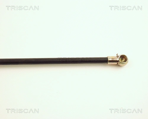 Gas Spring, boot/cargo area