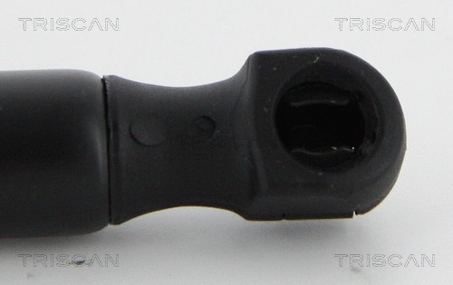 Gas Spring, boot/cargo area