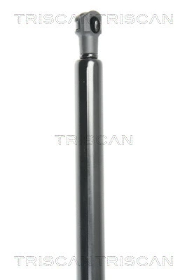 Gas Spring, boot/cargo area
