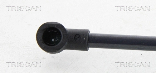 Gas Spring, boot/cargo area