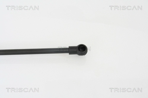 Gas Spring, boot/cargo area
