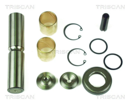 Repair Kit, kingpin (8500 23400)