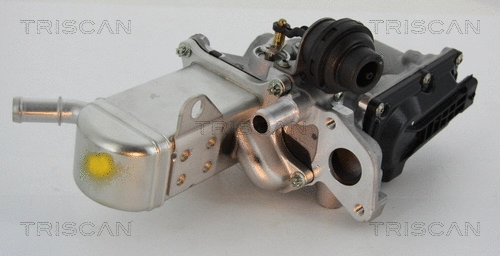 EGR Valve (8813 25013)