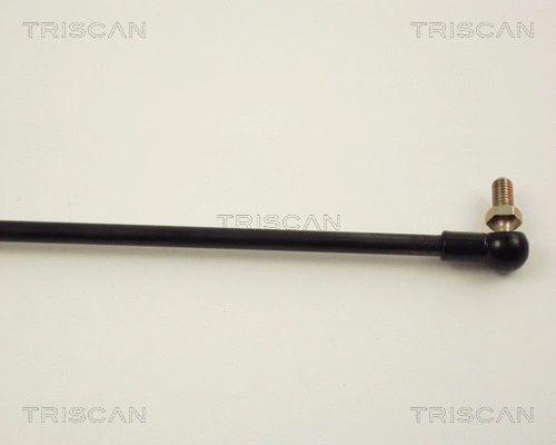 Gas Spring, boot/cargo area