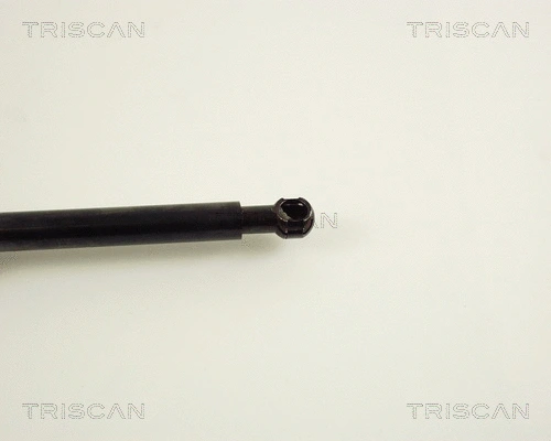 Gas Spring, boot/cargo area