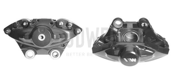 Brake Caliper (344907)