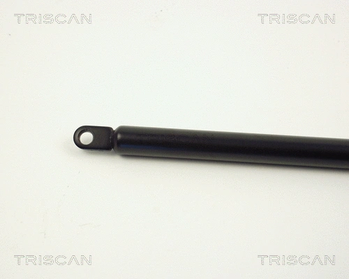 Gas Spring, boot/cargo area