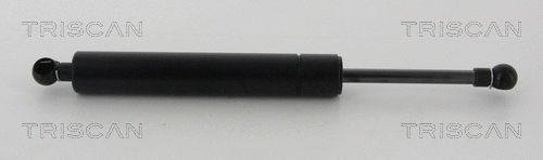 Gas Spring, boot/cargo area (8710 23294)