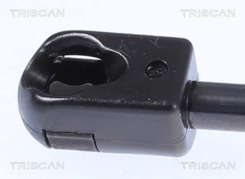 Gas Spring, boot/cargo area