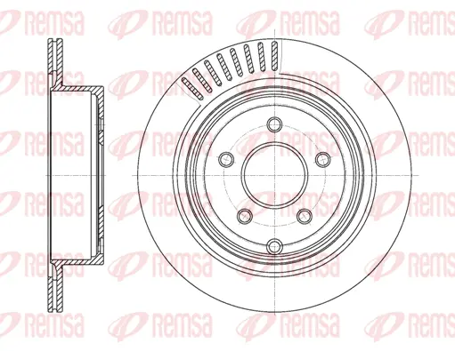 Brake Disc (61091 10)