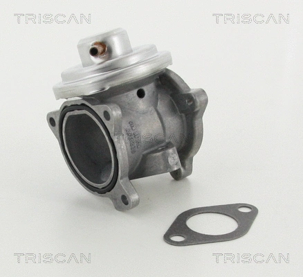 EGR Valve (8813 29011)