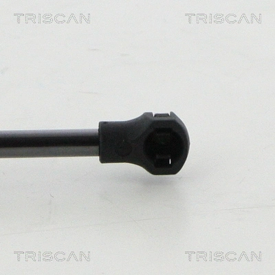 Gas Spring, bonnet