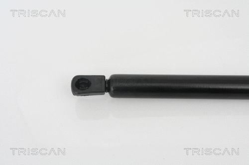 Gas Spring, boot/cargo area