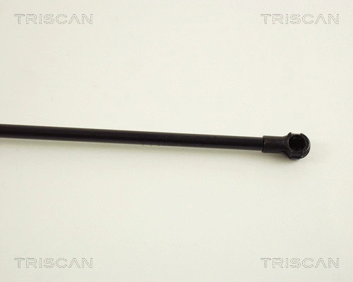 Gas Spring, boot/cargo area