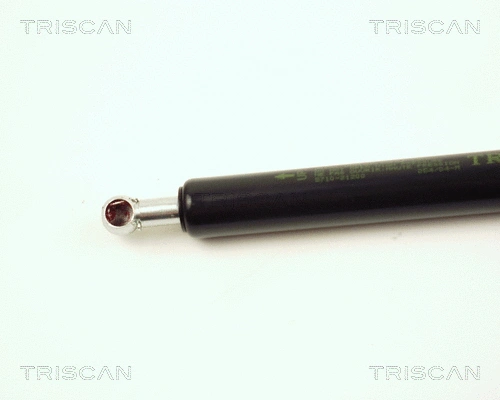 Gas Spring, boot/cargo area