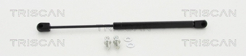Gas Spring, bonnet (8710 80101)