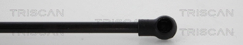 Gas Spring, boot/cargo area