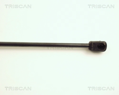 Gas Spring, boot/cargo area