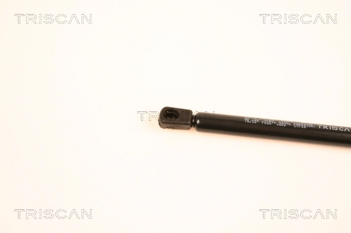 Gas Spring, boot/cargo area