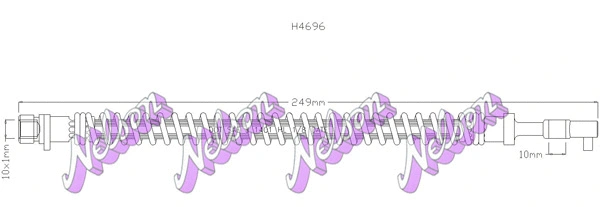 Brake Hose (H4696)