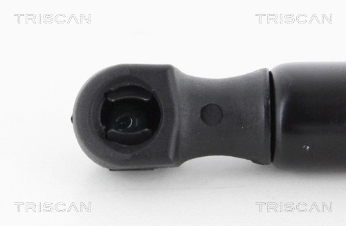 Gas Spring, boot/cargo area