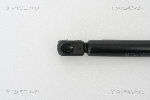 Gas Spring, boot/cargo area