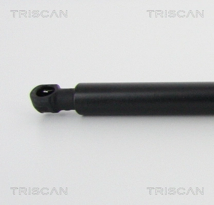 Gas Spring, rear window