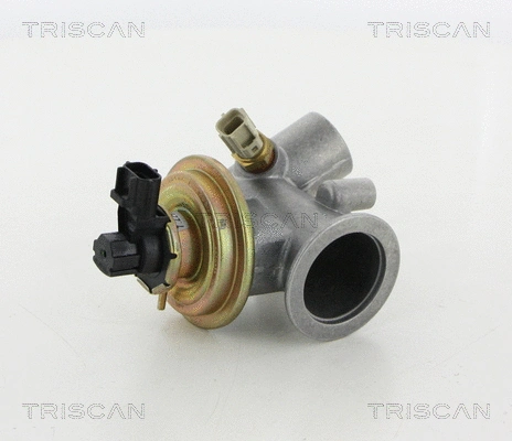 EGR Valve (8813 16212)