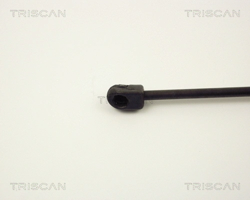 Gas Spring, boot/cargo area