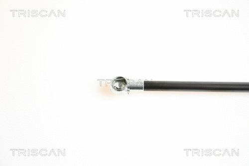 Gas Spring, boot/cargo area