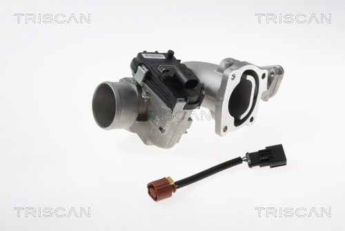 EGR Valve (8813 15100)