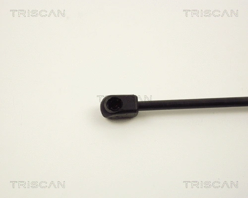 Gas Spring, boot/cargo area
