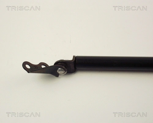 Gas Spring, boot/cargo area