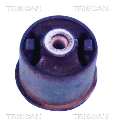 Bushing, axle beam (8500 29850)