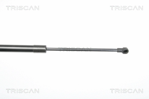Gas Spring, boot/cargo area