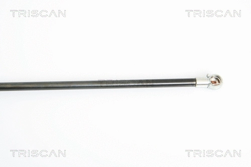 Gas Spring, boot/cargo area