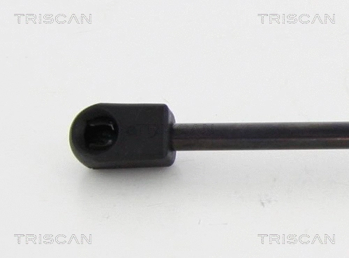 Gas Spring, boot/cargo area