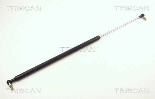 Gas Spring, boot/cargo area (8710 14208)