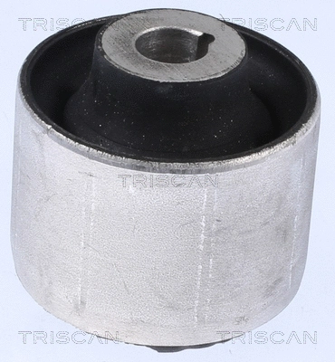 Mounting, control/trailing arm (8500 298069)