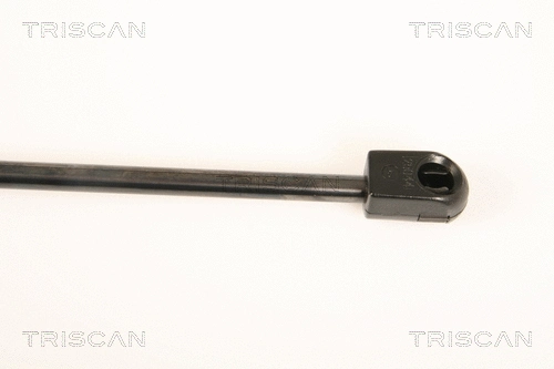 Gas Spring, boot/cargo area