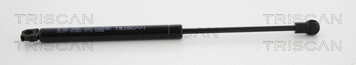 Gas Spring, boot/cargo area (8710 23237)