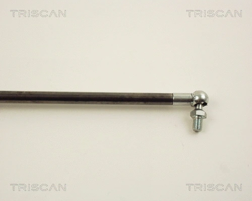 Gas Spring, boot/cargo area