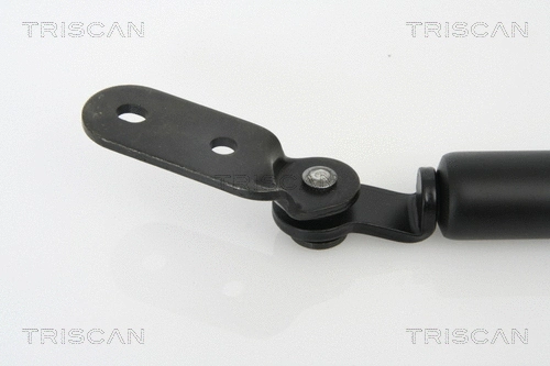 Gas Spring, boot/cargo area